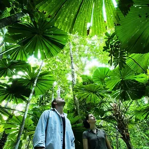 Vakantiepark Nrma, Cairns